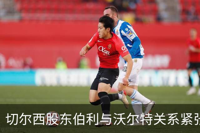 切尔西股东伯利与沃尔特关系紧张或转让股份给清湖资本